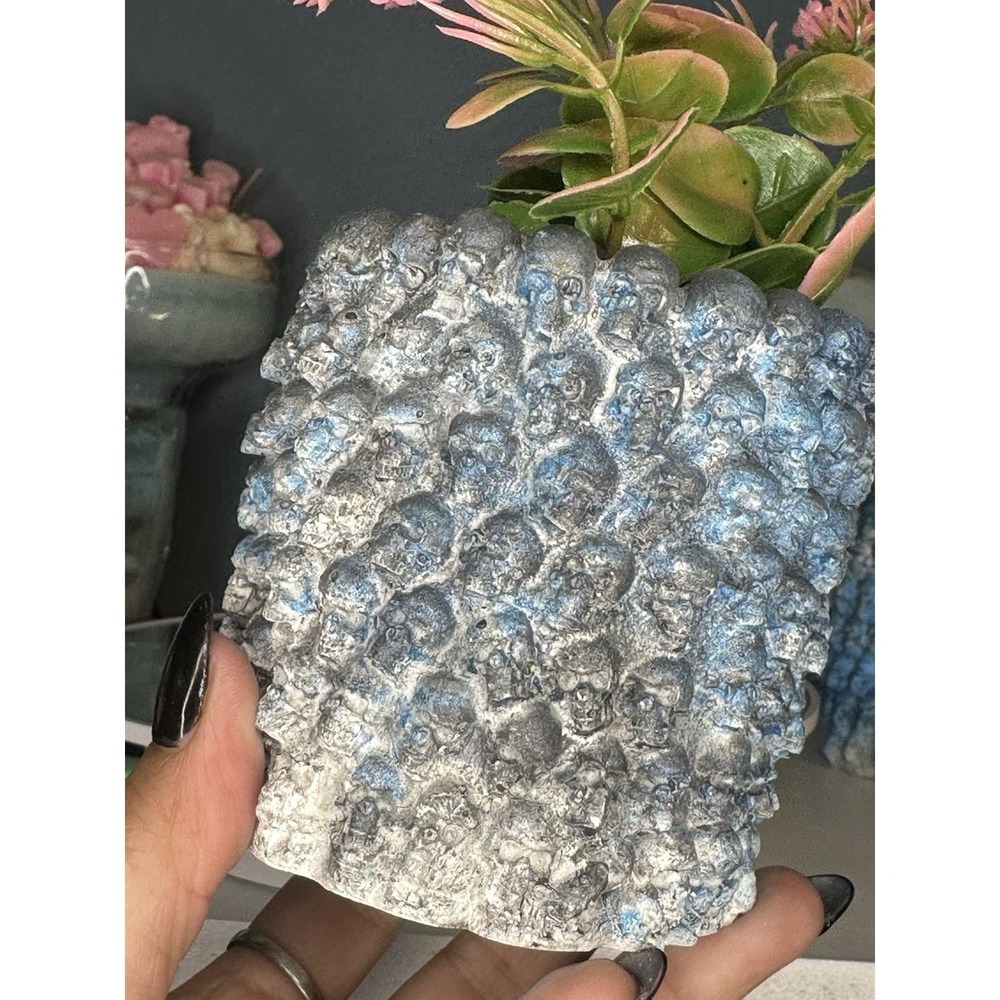 Skull Concrete Plant Pot  Blue Black  Handmade Cement Succulent Planter - Picture 4 of 9